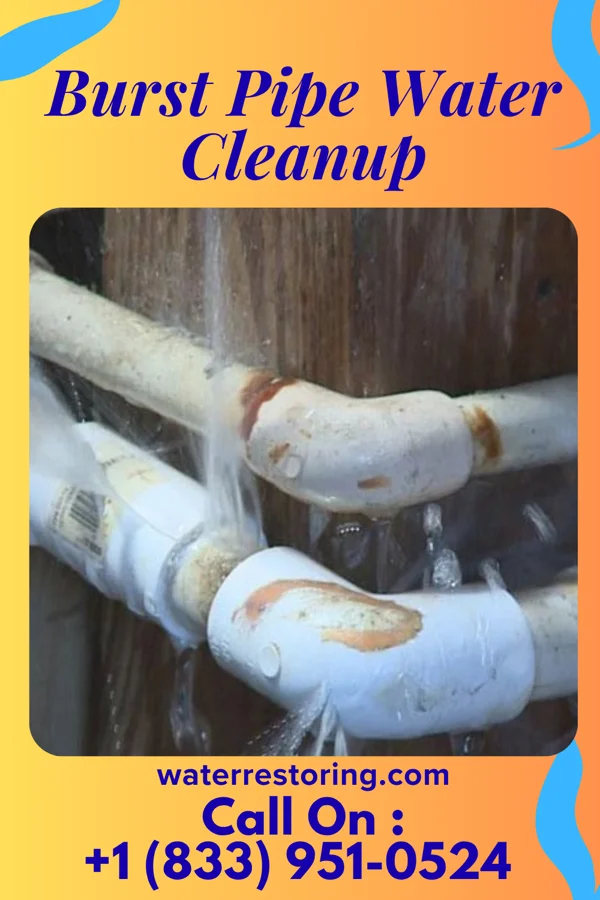 Burst Pipe Water Cleanup in Tyrone, PA