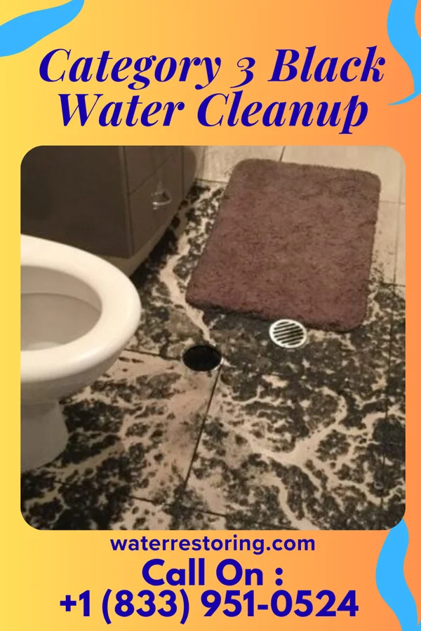 Category 3 Black Water Cleanup in Tyrone, PA