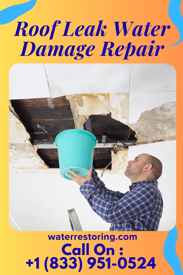 Roof Leak Water Damage Repair in Tyrone, PA