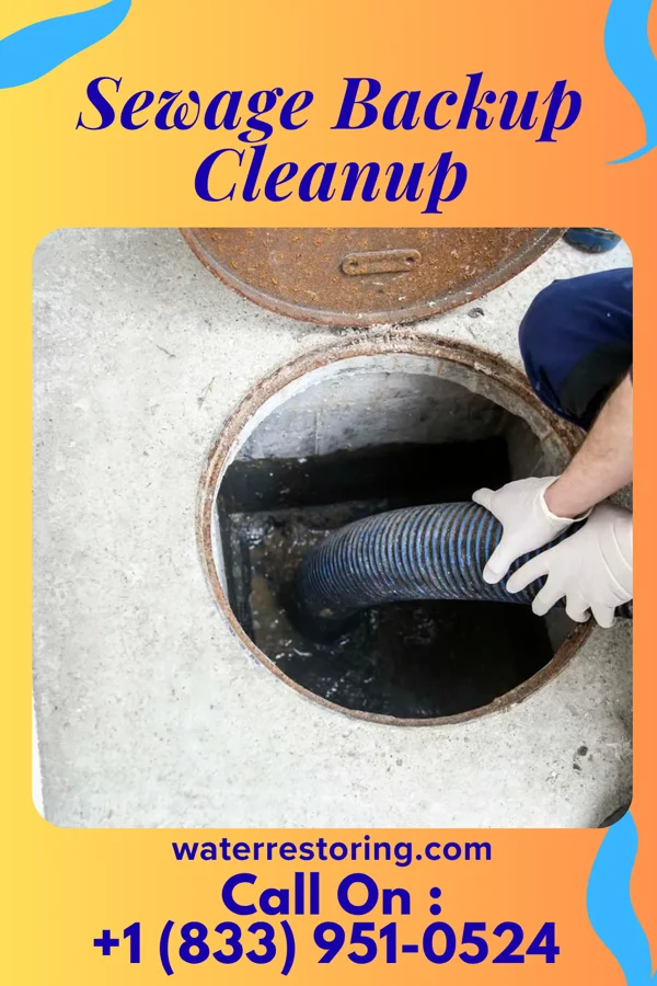 Sewage Backup Cleanup in Tyrone, PA
